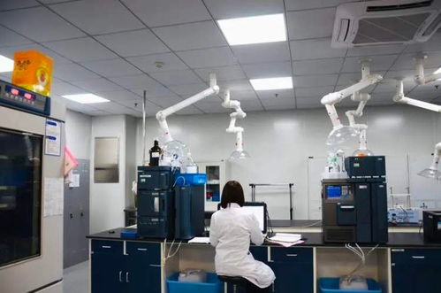 延長帕金森病藥物治療蜜月期 創新藥企推進抗帕新藥與計算機軟件的研發