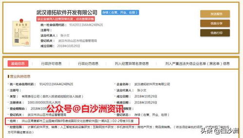 白沙洲青菱建群村軟件園項目正式啟動，總投資7.1億元打造計算機軟件研發新高地