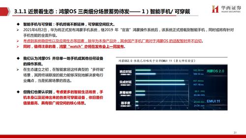 鴻蒙出鞘，劍指生態(tài) 華西證券洞察下的產(chǎn)業(yè)變革與軟件研發(fā)新范式